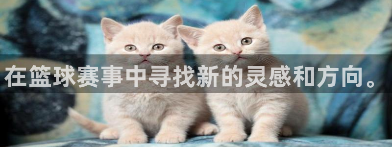 沙巴官网体育